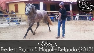 • STAGE • Frédéric Pignon amp Magali Delgado 2017 [upl. by Meakem]