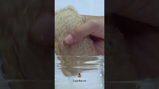 Natural loofah sponge to replace toxic plastic sponges [upl. by Safier]