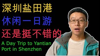 深圳盐田港一日游，深圳也可以慢下来｜ A Day Trip to Yantian Port in Shenzhen Unwinding the Pace in the Bustling City [upl. by Maxma]