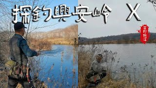 探钓兴安岭：五天四夜终见狗鱼fishing 自然 风景 探险 钓鱼 探钓 [upl. by Hedi]