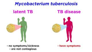 MultidrugResistant Tuberculosis MDRTB Mycobacterium tuberculosis [upl. by Eggett]