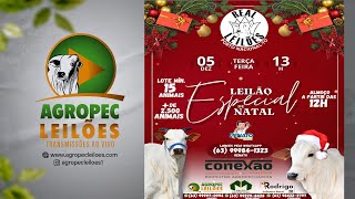 Agropecleiloescom LEILÃO ESPECIAL DE NATAL  REAL LEILÕES  PORTO NACIONAL  TO 05122023 [upl. by Gustie]