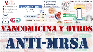 VANCOMICINA BACITRACINA FOSFOMICINA CICLOSERINA  AntiMRSA  Glucopeptidos 1 Fármacos [upl. by Quartus]