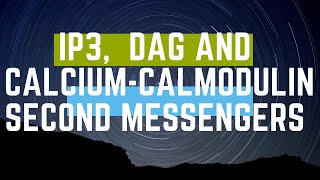 IP3 DAG AND CALCIUMCALMODULIN SECOND MESSENGER SYSTEM  OMNIG3N [upl. by Heringer]