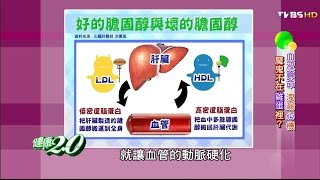 血液算命預測心的未來 健康20 20160306 14 [upl. by Introk]