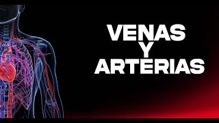 Venas y Arterias [upl. by Edana933]