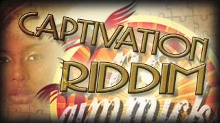 NEW REGGAE RIDDIM INSTRUMENTAL  CAPTIVATION RIDDIM  2014  DANCEHALL LEASING [upl. by Alysoun]