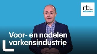 Nederland heeft een gigantische varkensvleesindustrie Wat zijn de voor en nadelen  RTL NIEUWS [upl. by Sidonie]