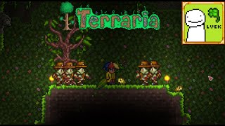 terraria tapi gw jadi DREAMM part 2 terraria indonesia [upl. by Pinsky278]