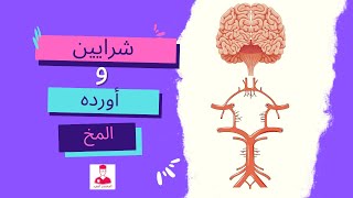 أبسط شرح ممكن تفهم منه شرايين وأورده المخ في 20 دقيقه  cerebral arteries and veins [upl. by Iruahs759]