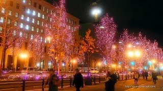 御堂筋イルミネーション 2013 Midosuji Street Illumination Osaka Japan [upl. by Mcintyre680]