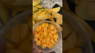 Homegrown Melons homegrownfood gardening harvest garden growfood harvest harvesting grow [upl. by Eiramannod]