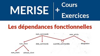 Analyse univariée  Exercices corrigés TD [upl. by Ttenaej]