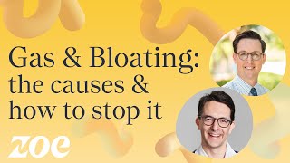 Gas and bloating the causes and how to stop it  Dr Will Bulsiewicz [upl. by Ynoep]