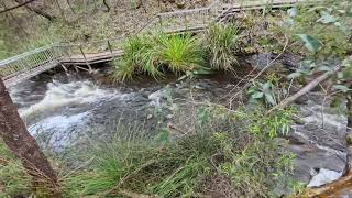 Beedelup Falls Pemberton [upl. by Rie]