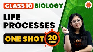 Life Processes Class 10 One Shot in 20 Minutes  NCERT Class 10 Biology Chapter1 CBSE2024 [upl. by Sura946]