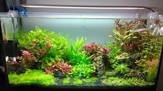 Introducción para iniciar un acuario plantado [upl. by Frederic]