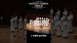 고향의 봄  파리나무십자가 소년합창단 Spring of Hometown 전석매진크리스마스파리나무십자가12월pccb가족공연겨울 [upl. by Abdella]