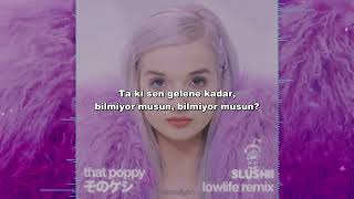 Poppy  Lowlife Slushii Remix  Türkçe Çeviri [upl. by Aerbua]