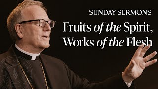 Fruits of the Spirit Works of the Flesh  Bishop Barrons Sunday Sermon [upl. by Enirahtak]