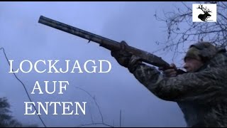 Lockjagd auf Enten  German Waterfowl Hunting [upl. by Neyugn804]