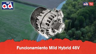 Funcionamiento Mild Hybrid 48V [upl. by Auqenehs586]