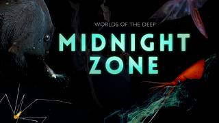 Into the Midnight Zone Secrets of the Ocean Void [upl. by Danzig]