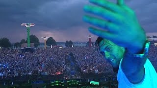 Electronic Dance Music  Balaton Sound 2015 [upl. by Thorbert]