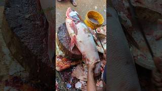 Excellent Cutting Skills  Big Silver Carp Fish Cutting By Expert Fish Cutter😱😱 shorts [upl. by Eladnar]