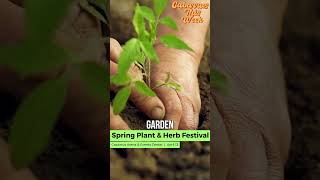 2024 Spring Plant and Herb Festival [upl. by Aloysius]