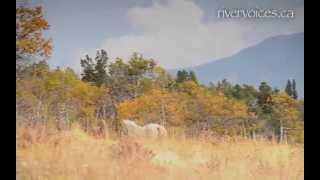 River Voices Episode 1 Tsilhqotin the Land of Gold and Dreams trailer [upl. by Snook876]