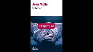 10  Sobibor  livre audio  Chapitre 10 et prologue  Jean Molla  lecture et résumé [upl. by Dwain685]