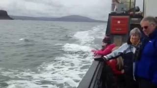 Sailing from Ballycastle to Rathlin Island Part 3 [upl. by Erdua555]