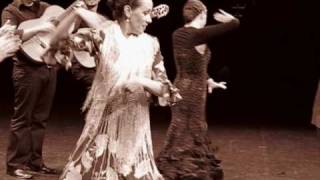 1 Flamenco Festival Baden Suiza [upl. by Yroj]