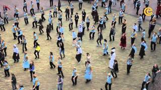 Flashmob Efteling Medewerkers  Winter Efteling [upl. by Curry]