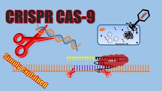 CRISPRCAS9  General Mechanism [upl. by Shirlie]