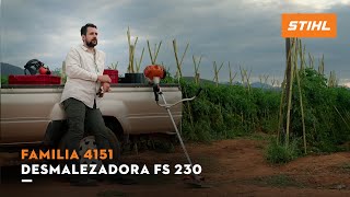 Desmalezadora FS 230  Familia 4151  STIHL MÉXICO [upl. by Hctim]