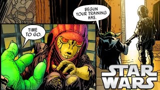 Yodas New Secret Apprentice Before The Phantom Menace Canon  Star Wars Explained [upl. by Barabbas]