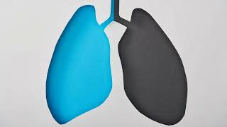 Combination of Ipilimumab and Nivolumab Offers Mesothelioma Patients New Hope [upl. by Nylesaj]