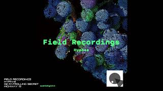 Field Recordings  Hyphae  02 Patrolling Secret Highway 15 [upl. by Ardnad]