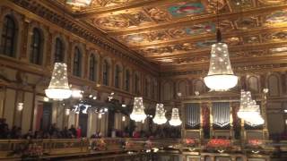 Musikverein Grosser Saal [upl. by Alhsa612]