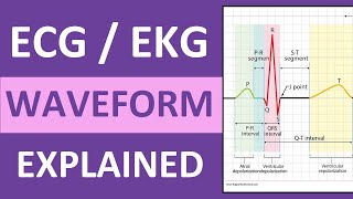 ECG Waveform Explained and Labeled  ECG Interpretation Nursing NCLEX [upl. by Lello]