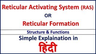 Reticular Activating System RASReticular Formation Structure amp Function in Hindi Bhushan Science [upl. by Ruphina]