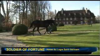 Haras du Logis SaintGermain [upl. by Llenrap]