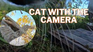 Is Your Cat a SECRET Photographer Find Out  Cat with the camera [upl. by Hterag]