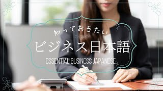 【よく使うビジネス日本語◆仕事の日本語】Learn Japanese Business Language ◆ Essential Business Japanese 敬語 ◆会社で使う日本語 [upl. by Naujahs]