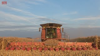 3000 Acre Corn Field Harvested by CASE IH 9250 Combines [upl. by Yeltrab978]