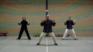 Wuji Qigong Wu Chi Chi Kung 無極氣功 [upl. by Ynalem]