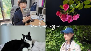 vlog 편집자 일상ㅣ작가가 출판사로 찾아온 날ㅣ두 사람의 인터내셔널ㅣ5월의 경의선숲길 연트럴파크 북촌 제철 산책ㅣ요즘 읽는 책 그리고 취미ㅣ서울시향 클래식 [upl. by Tenay]