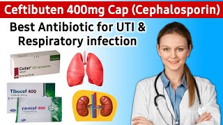 Ceftabuten 400mg Capsule  Antibiotics for UTI and Upper Respiratory tract infection  Cefamox 400mg [upl. by Sorodoeht]